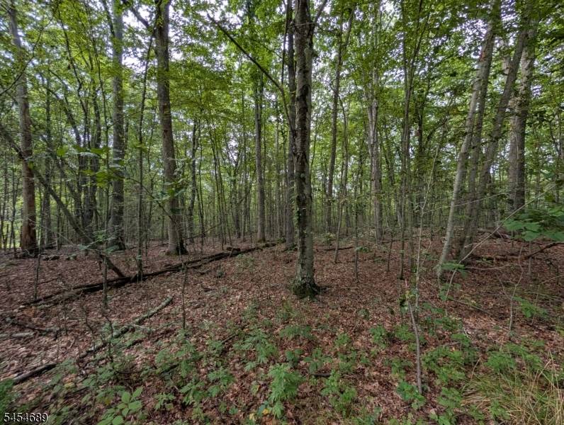 00 Anne Rd, Stillwater Twp., NJ 07860