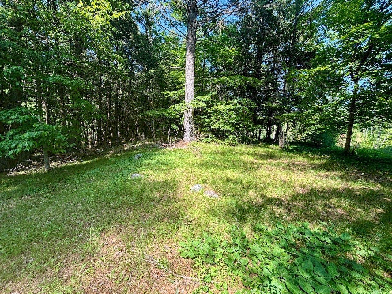 2495 Flinton RD, Addington Highlands, ON K0H 1P0