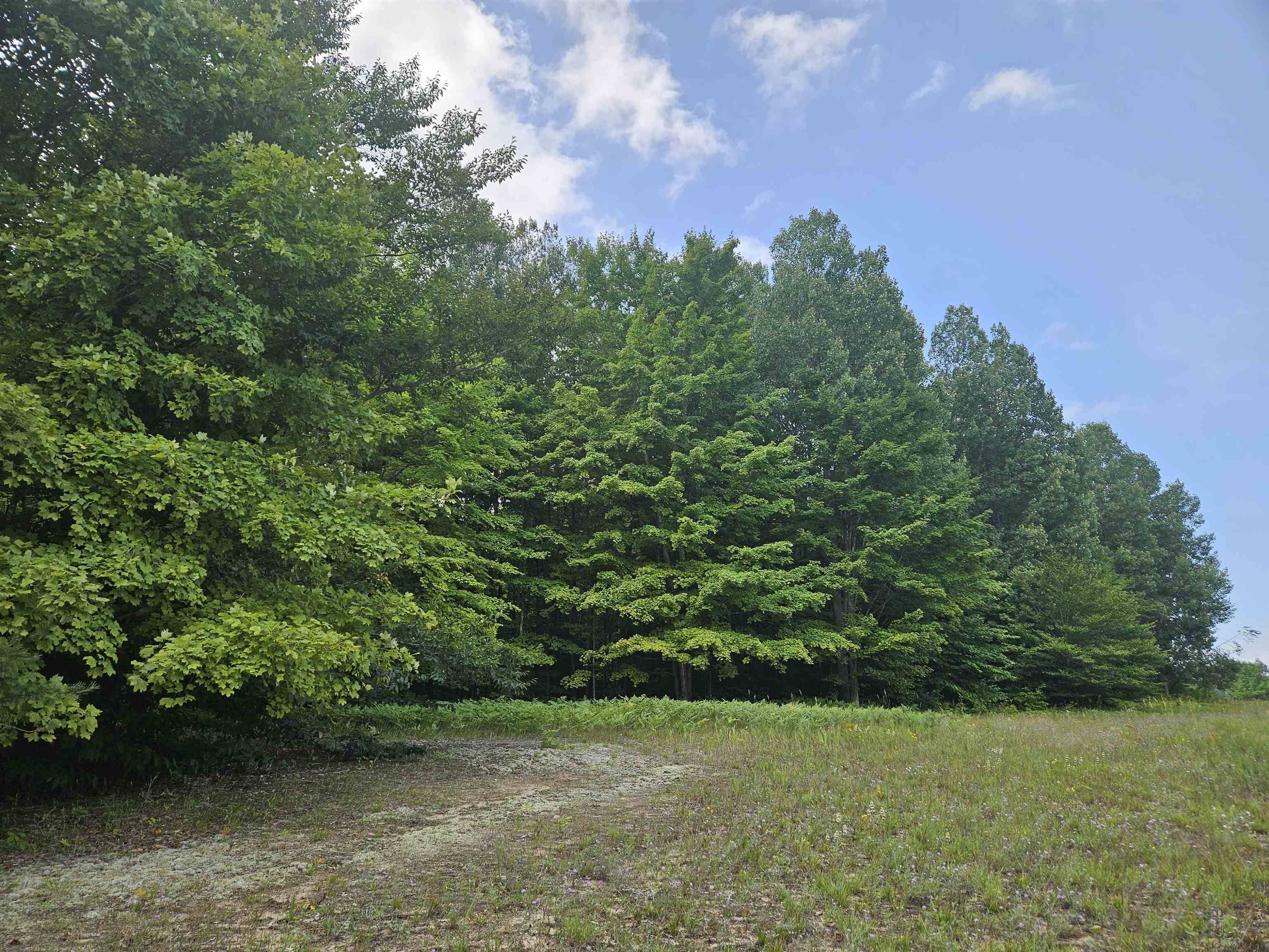 19172 Cedar Run RD, Almira Twp, MI 49684