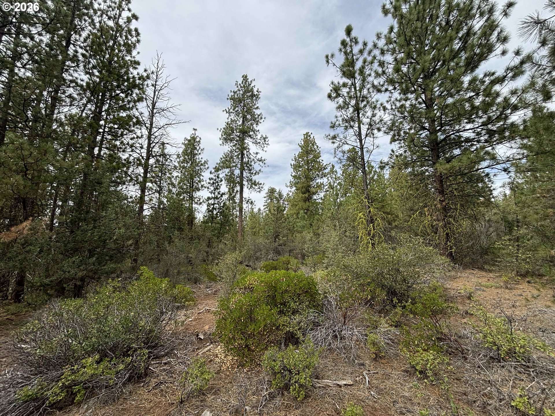 Oriole DR, Bonanza, OR 97623