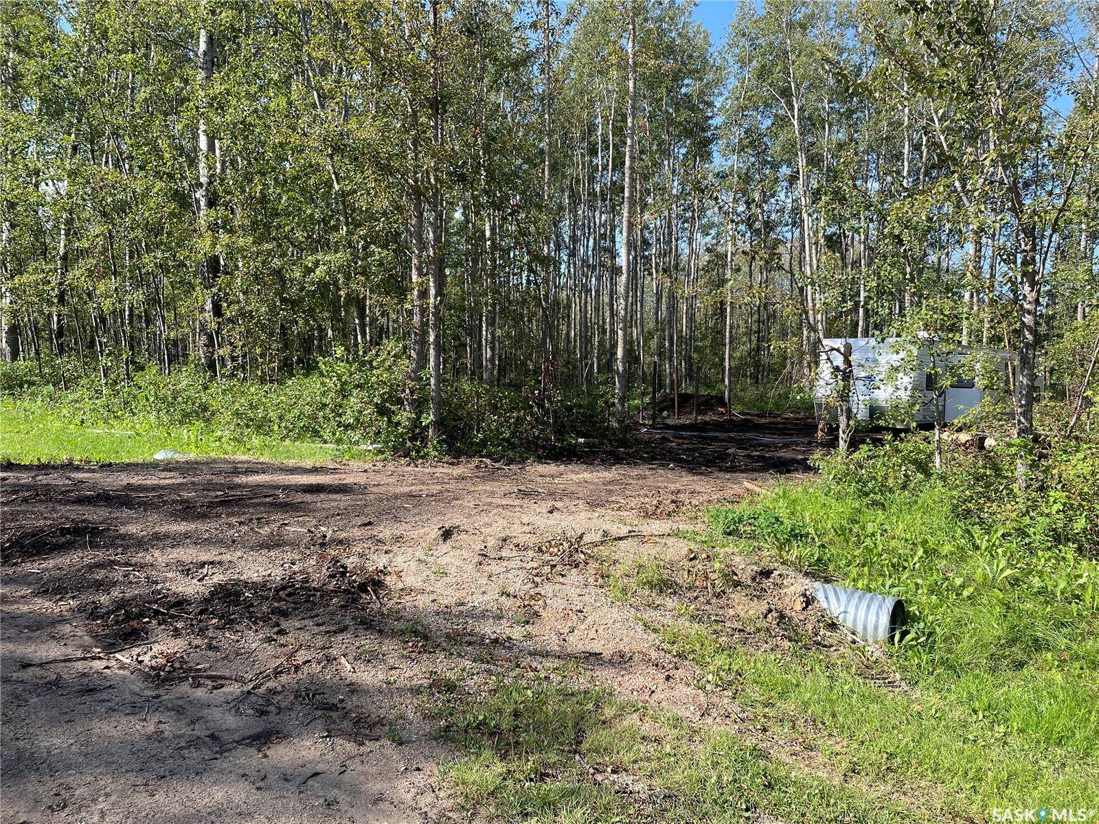 7 Buffalo Pound ROAD, Big River Rm No. 555, SK S0J 0E0
