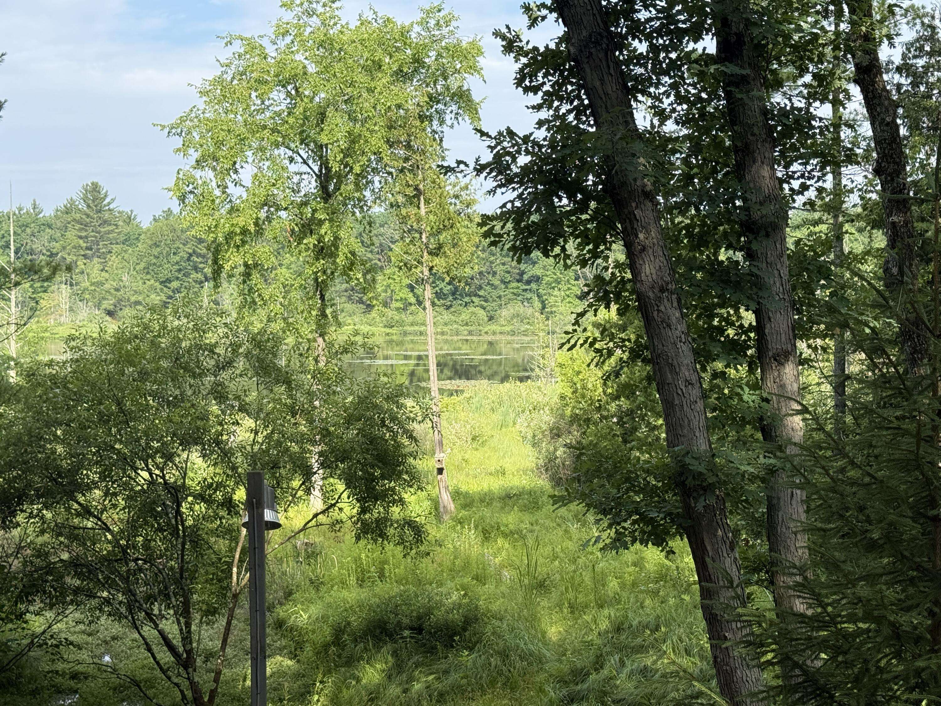 8733 S James RD, Pleasant Plains Twp, MI 49304