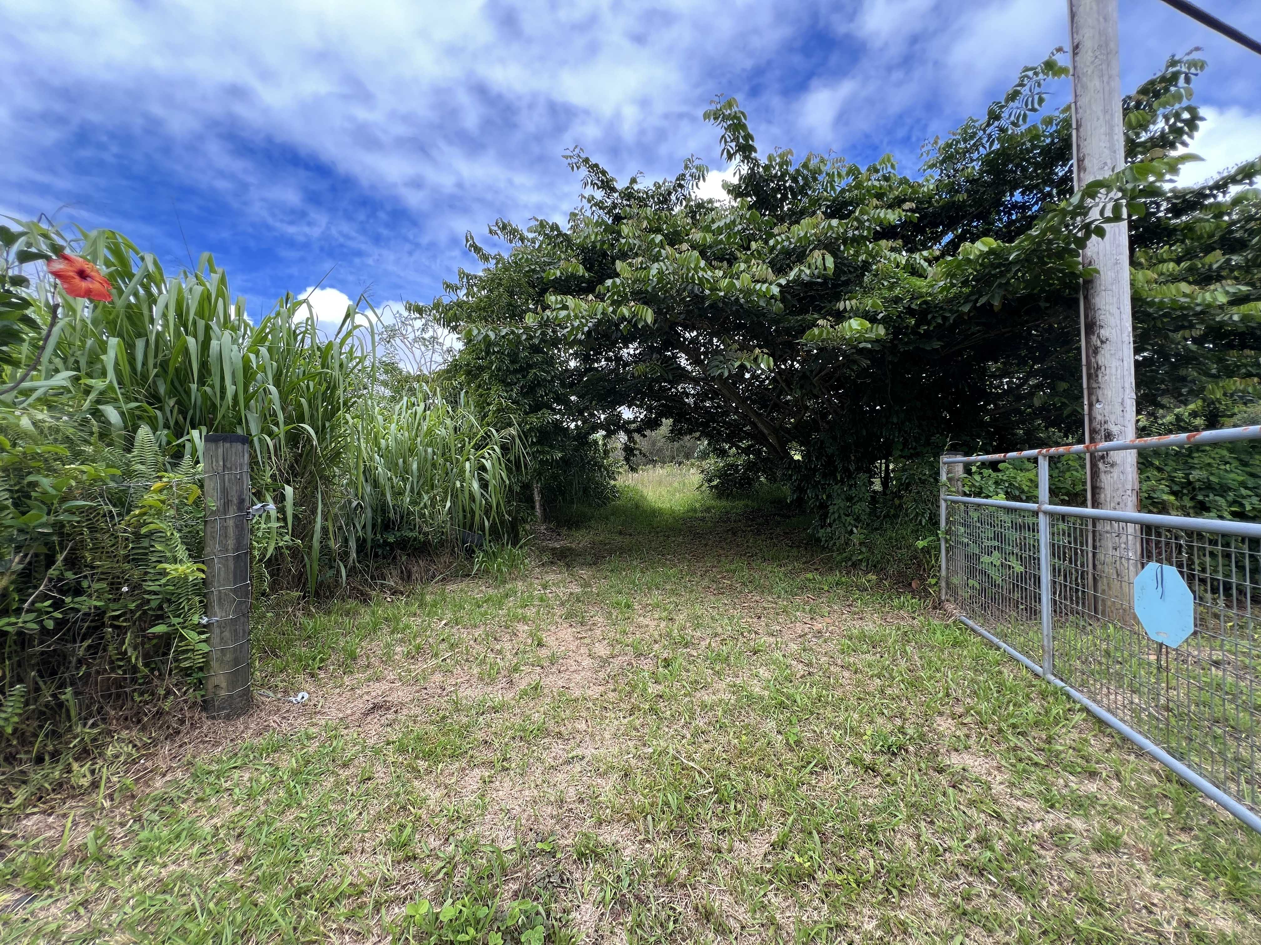 11-2972 PALAINUI AVE, Mountain View, HI 96771