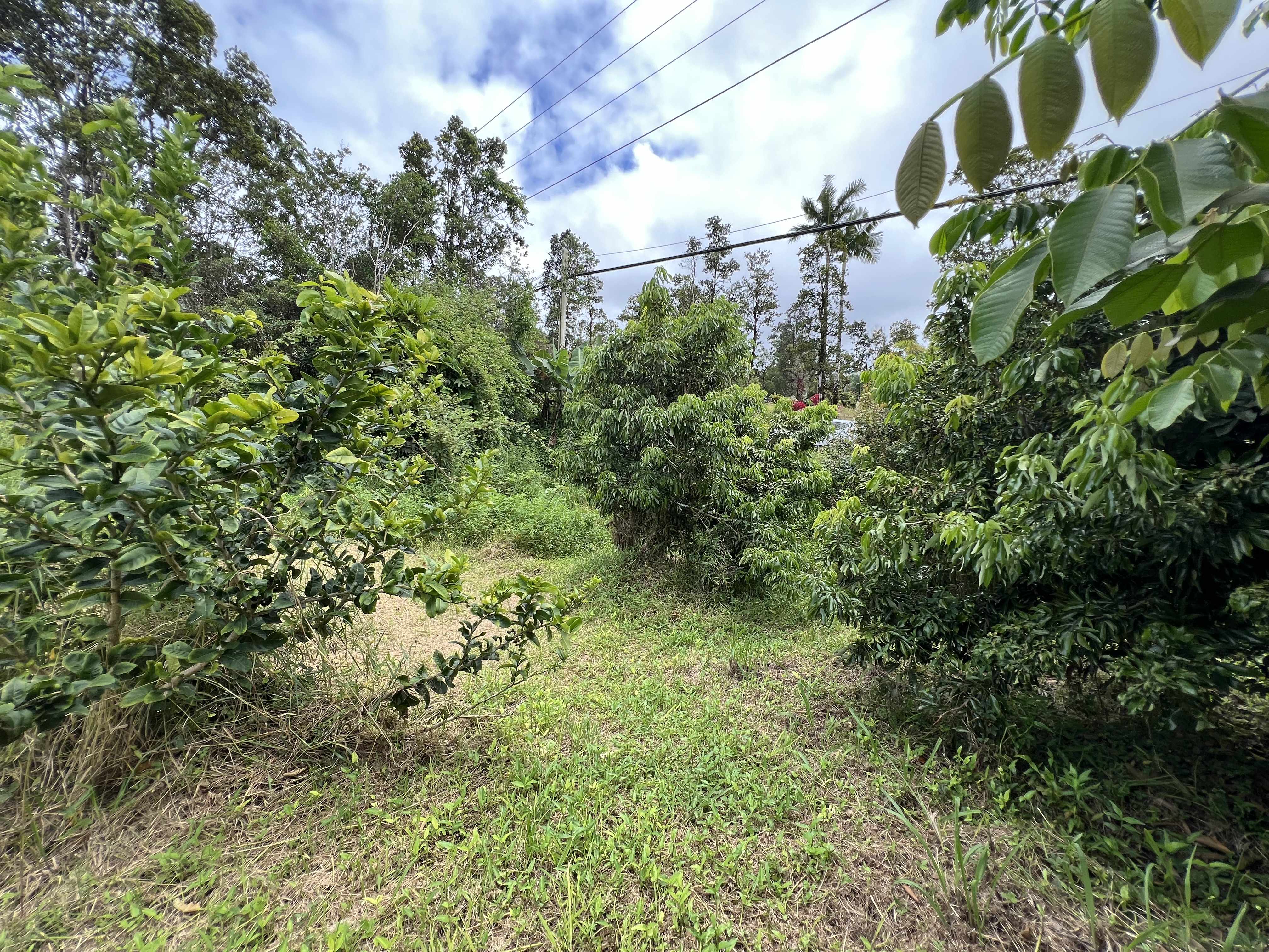 11-2972 PALAINUI AVE, Mountain View, HI 96771