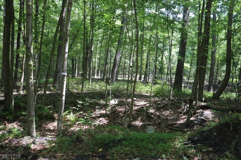 26 Fawn Run, Montague Twp., NJ 07827