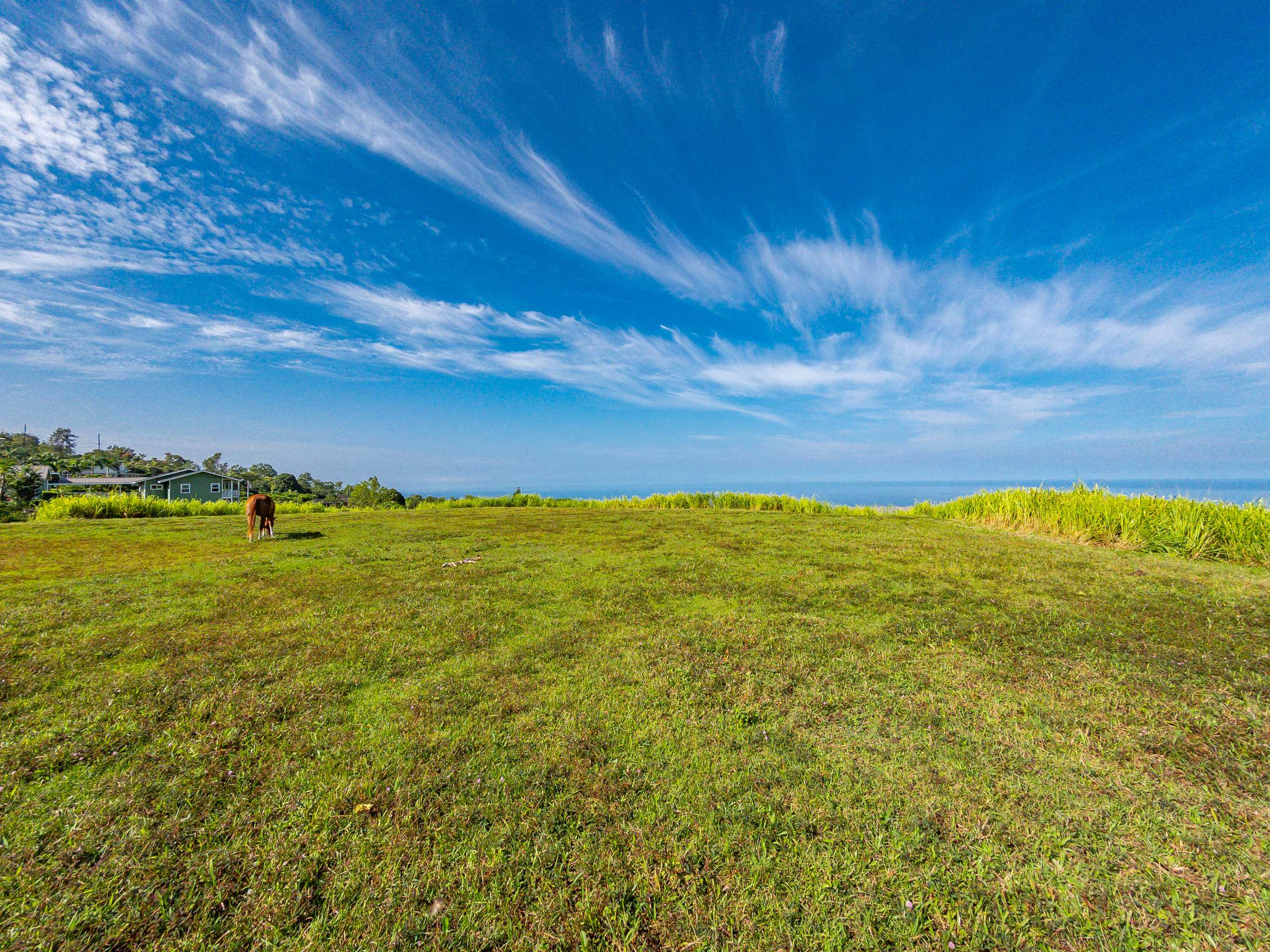 74-4990 MAMALAHOA HIGHWAY, Holualoa, HI 96725