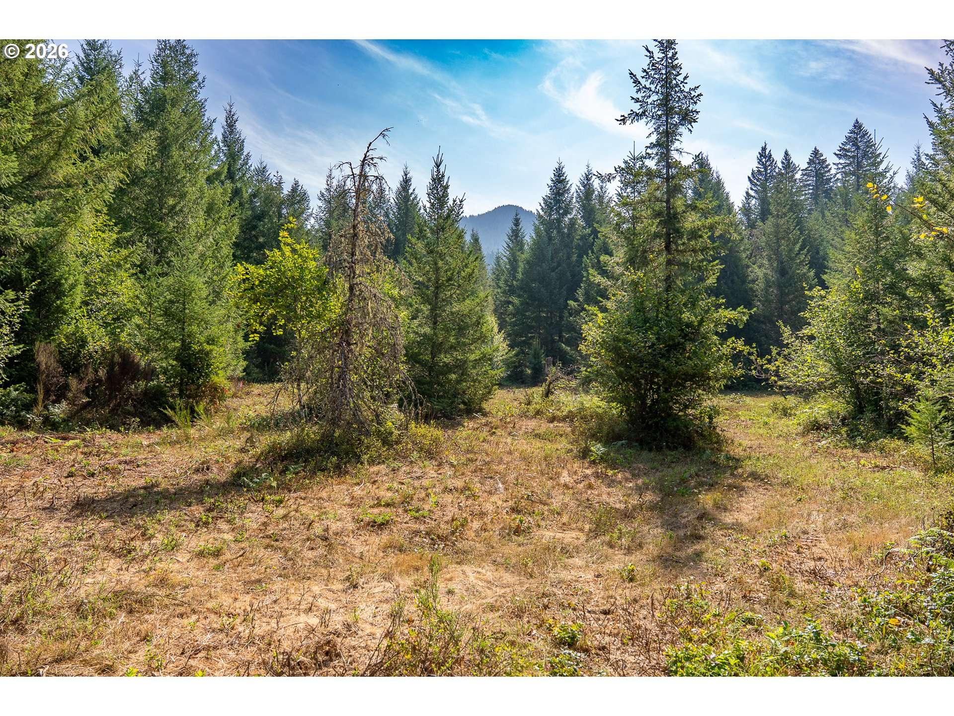 Hawk Meadows RD #4, Carson, WA 98610