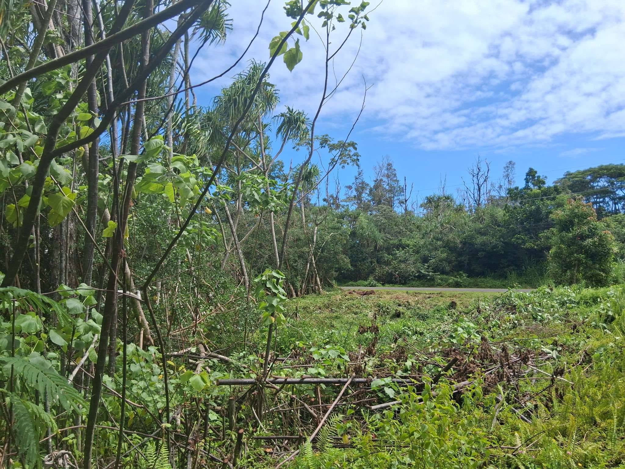 MOANA ST, Pahoa, HI 96778