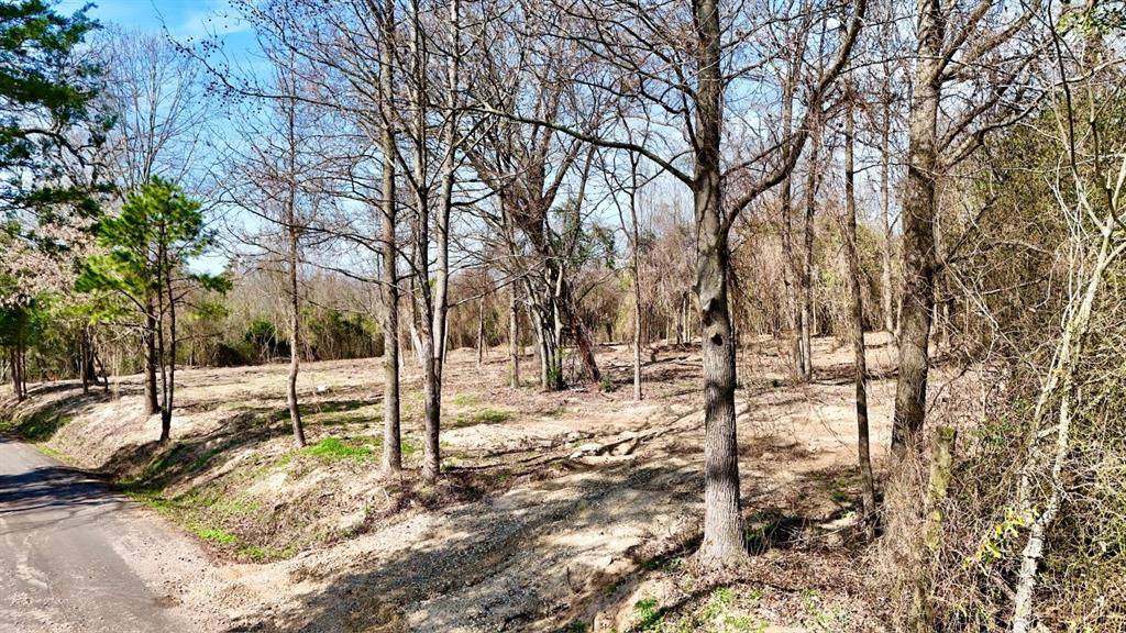TBD County Rd 3211, Pittsburg, TX 75686