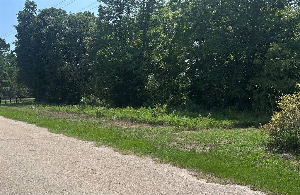 TBD CR 3841 #Tract 64, Hawkins, TX 75765