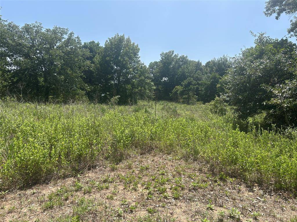 TBD CR 3841 #Tract 64, Hawkins, TX 75765