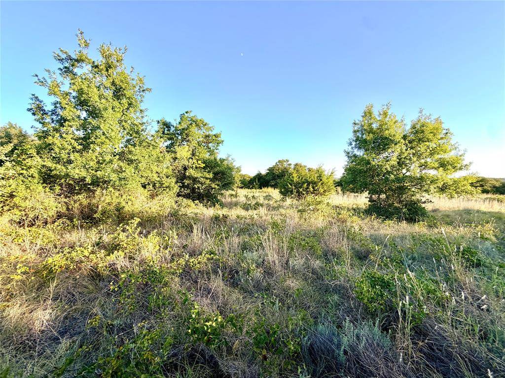 37 Pr 224, Goldthwaite, TX 76844