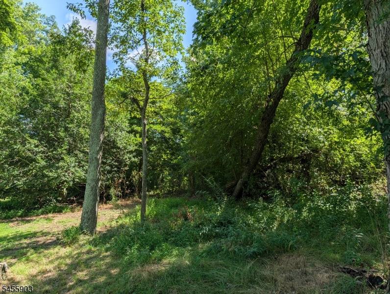 425 Julius Pemberton Rd, Springfield Twp., NJ 08068