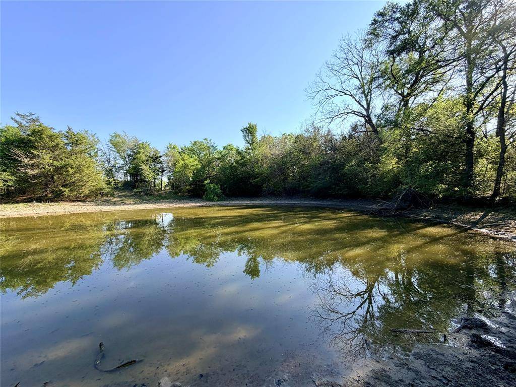 TBD 213.5 acs FCR 984, Mexia, TX 76667