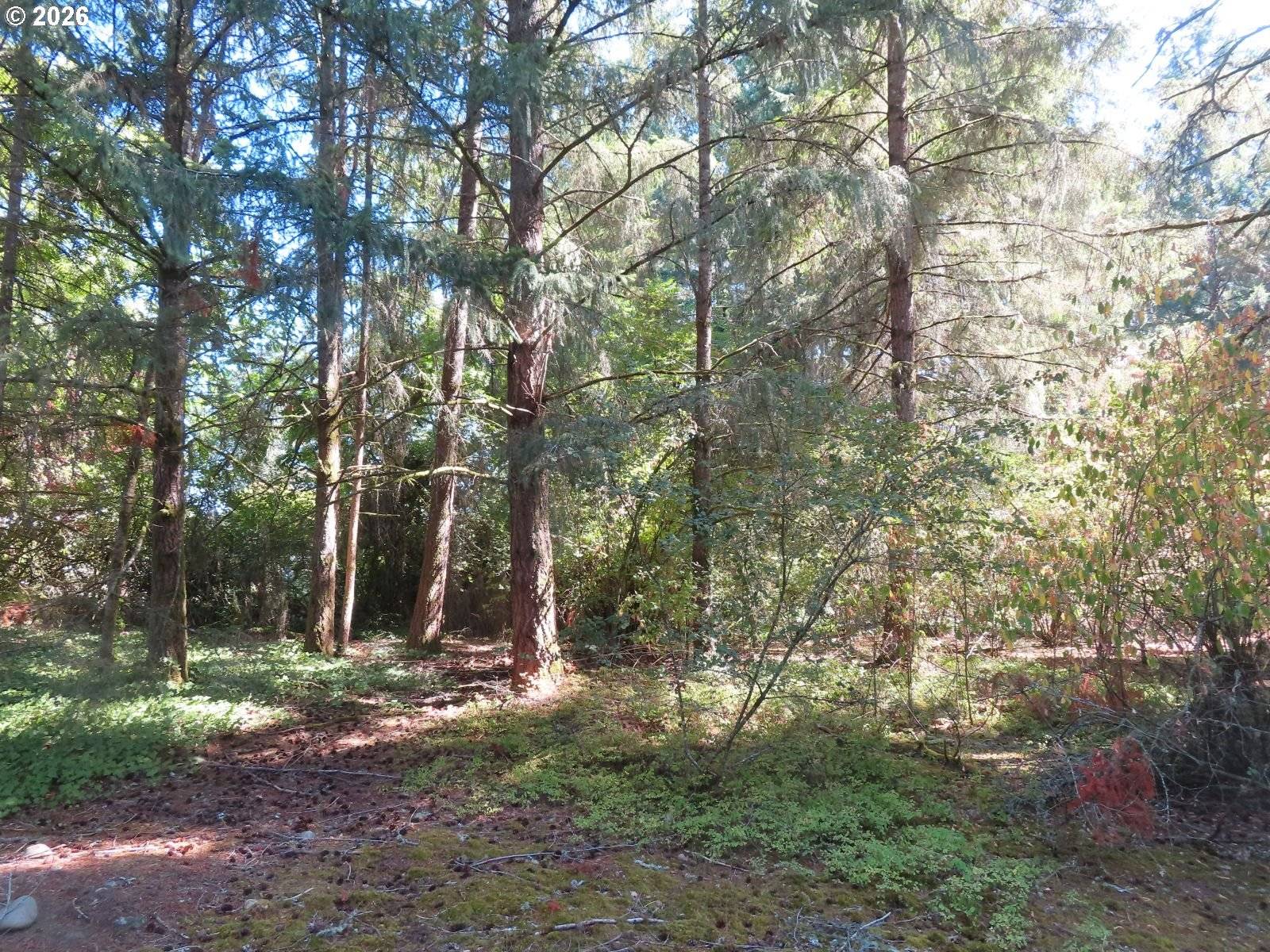 8021 Afflerbaugh CT SE, Lacey, WA 98503