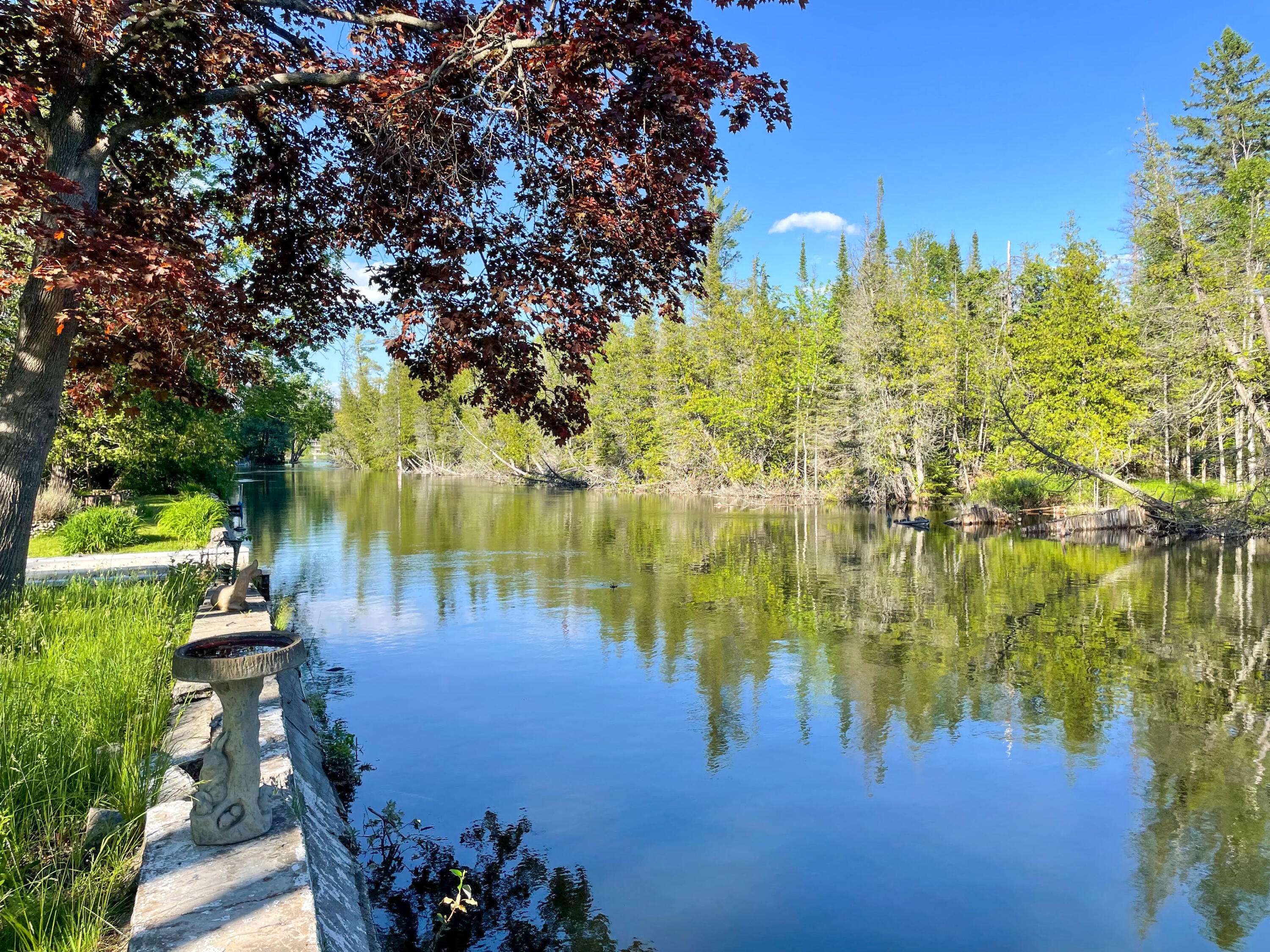 7847 Lake ST, Alanson Vlg, MI 49706