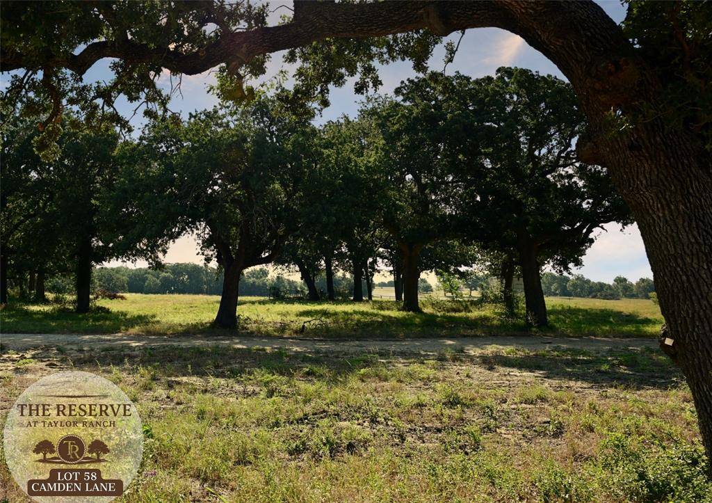 Lot 58 Camden Lane, Springtown, TX 76082
