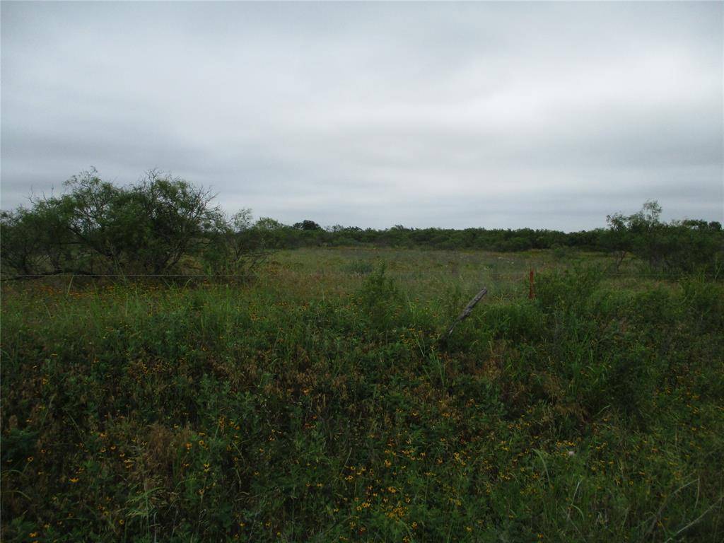 Lot 7 Old Joy Shannon, Bluegrove, TX 76352