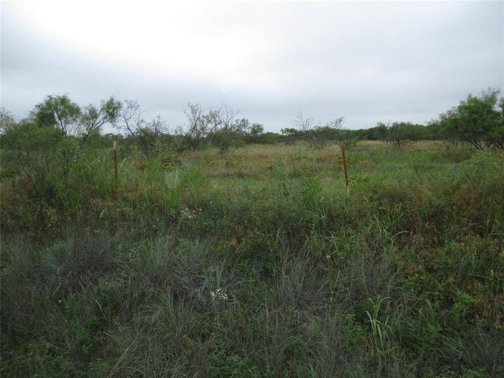 Lot 7 Old Joy Shannon, Bluegrove, TX 76352