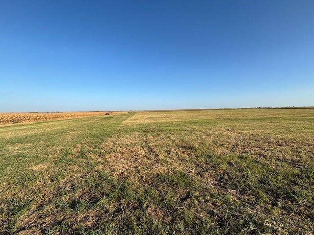 TBD FM 67 Highway, Covington, TX 76636