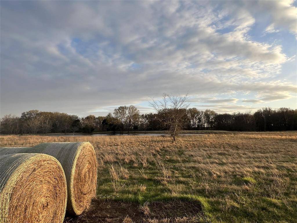 3950 Fm 47, Wills Point, TX 75169