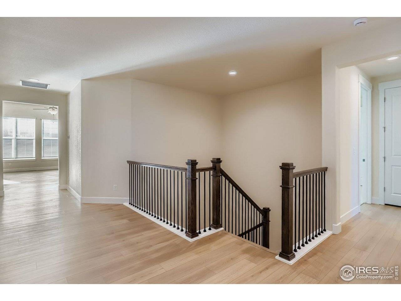 1829 Flourish, Windsor, CO 80550