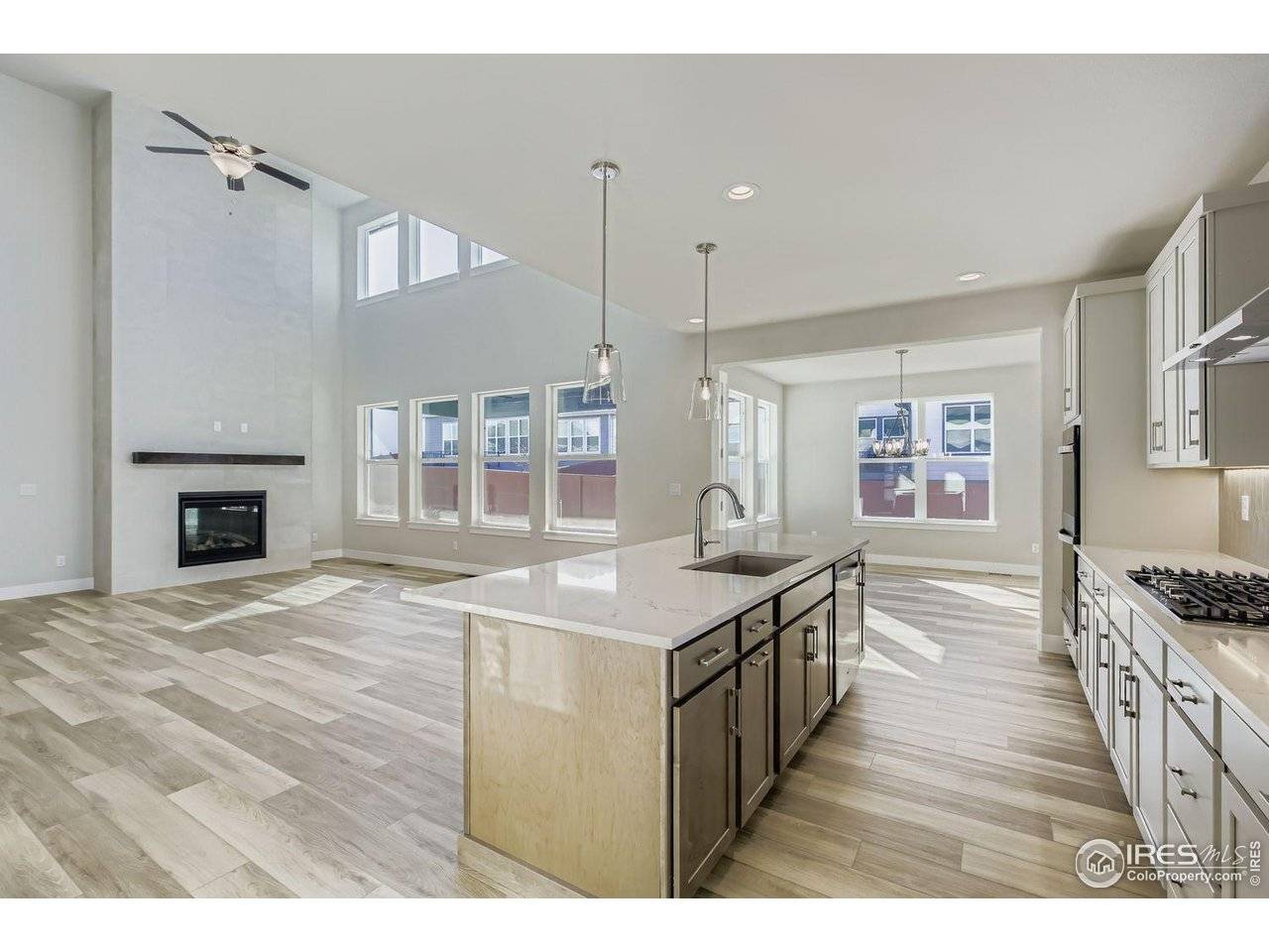 1833 Flourish, Windsor, CO 80550