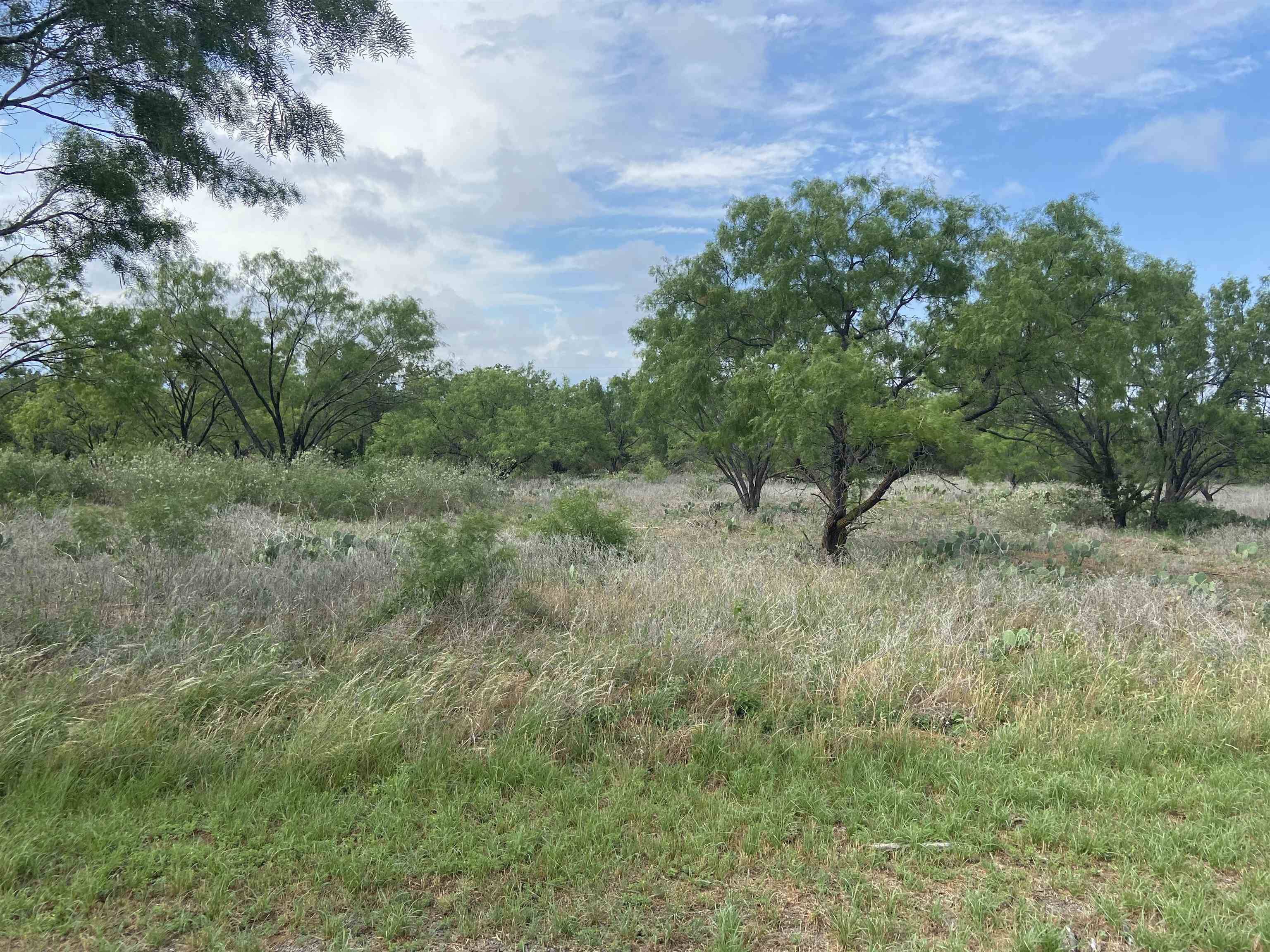 Lot 22 Lone Oak Drive, Burnet, TX 78639-9999