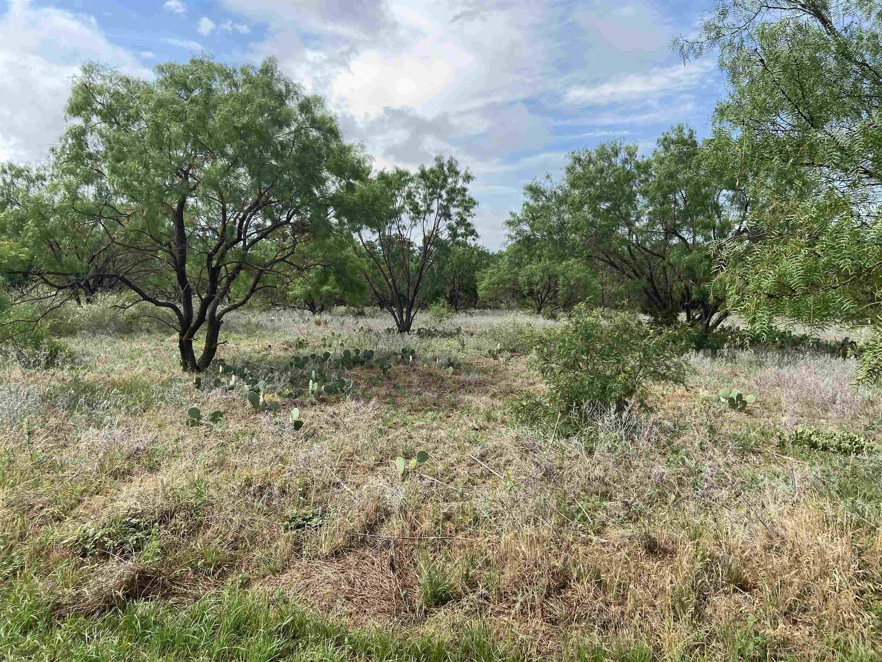 Lot 22 Lone Oak Drive, Burnet, TX 78639-9999
