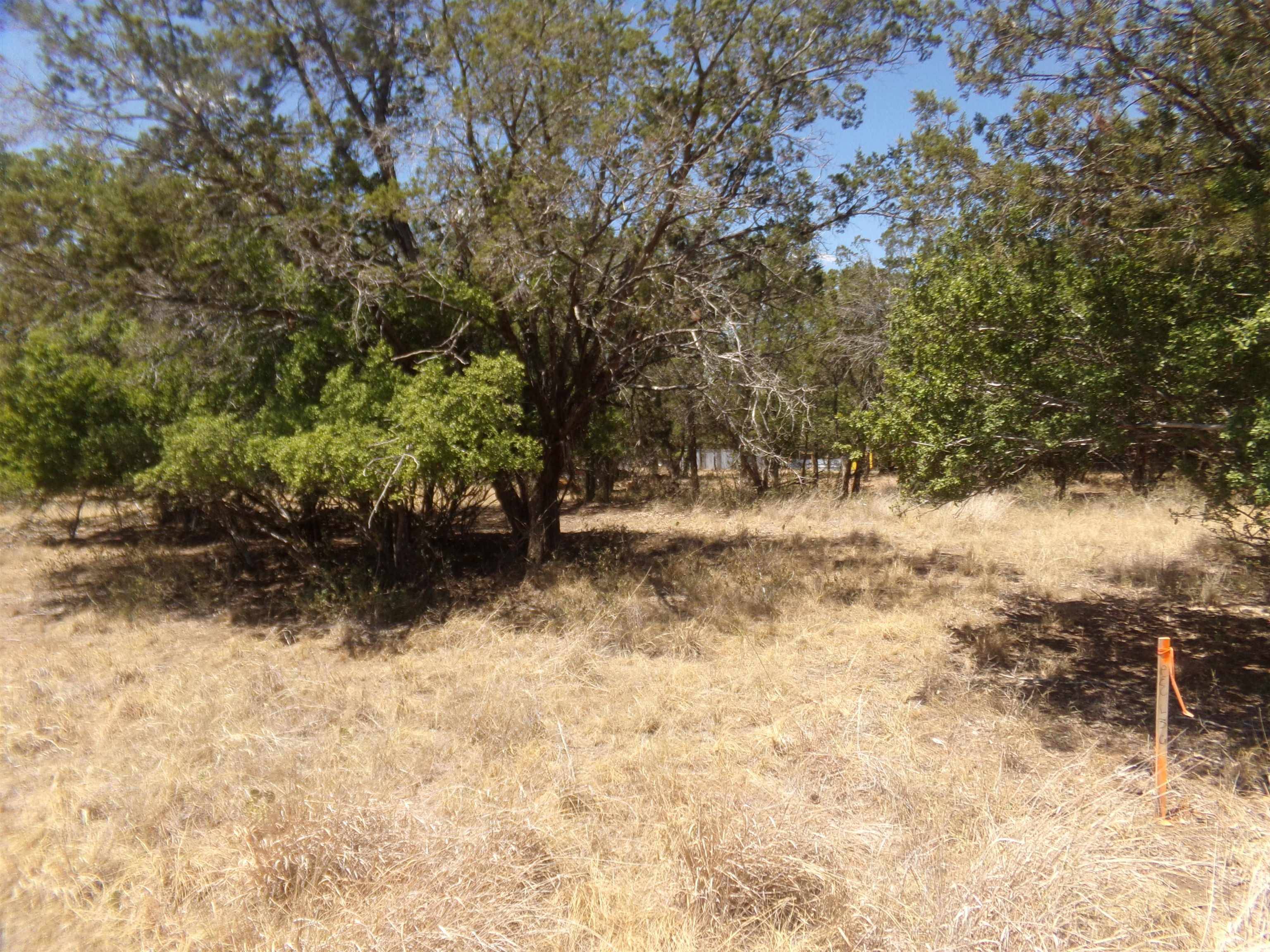 lot 141 PINE, Cottonwood Shores, TX 78657-9441