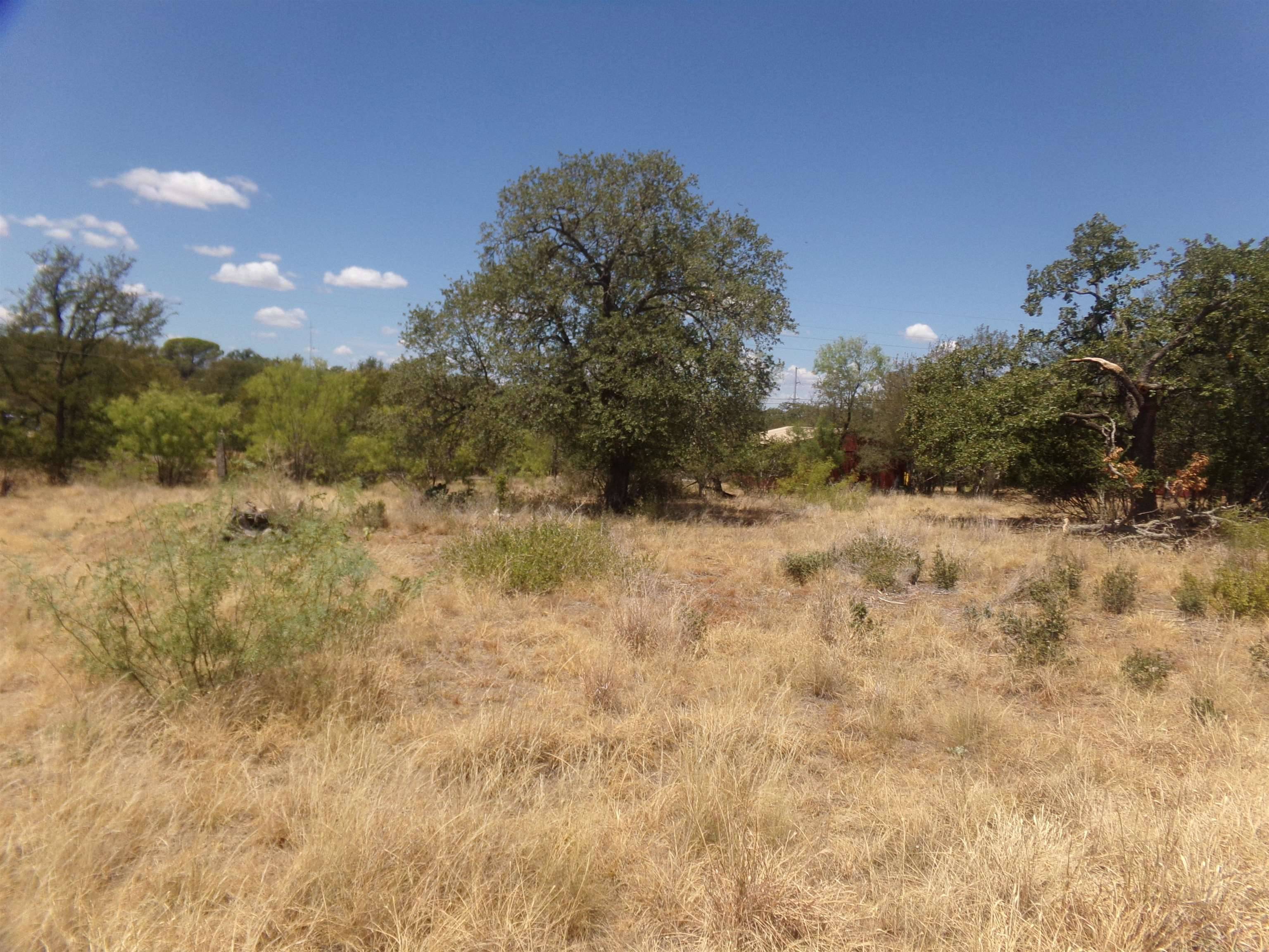 lot 141 PINE, Cottonwood Shores, TX 78657-9441