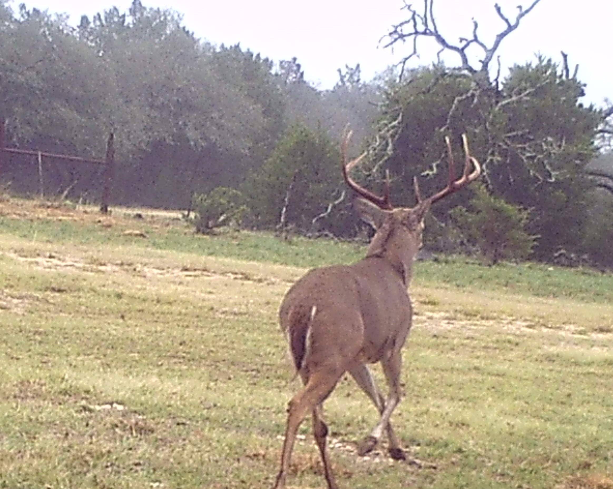 2334 CR 105, Lampasas, TX 76550