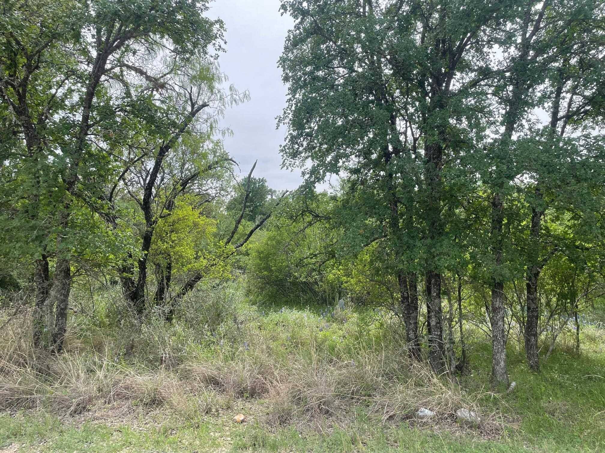 Lots 175 & 176 Hill Wood, Granite Shoals, TX 78654