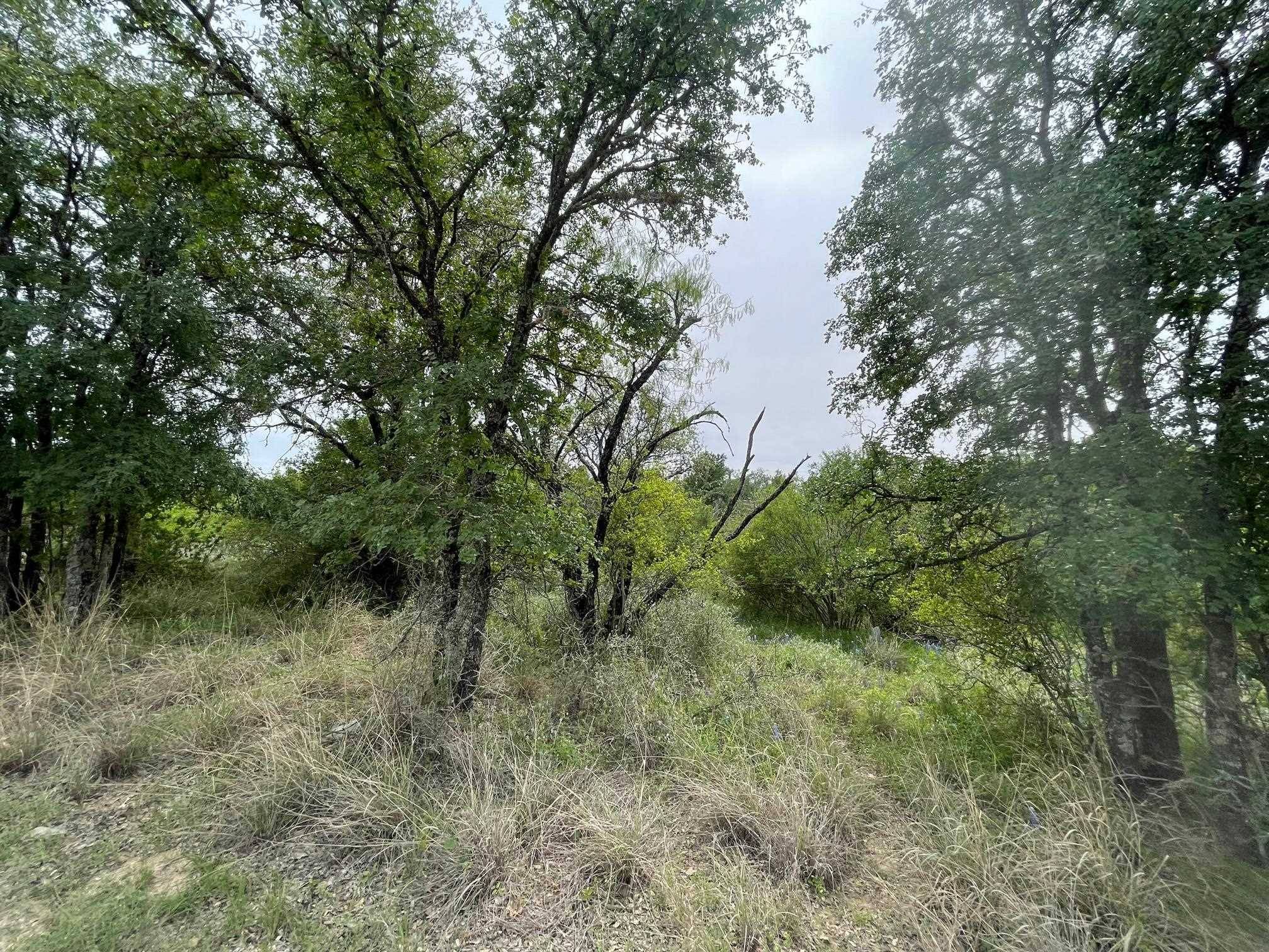 Lots 175 & 176 Hill Wood, Granite Shoals, TX 78654