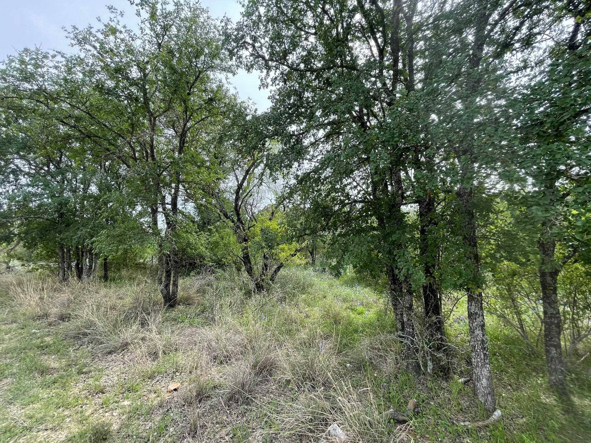 Lots 175 & 176 Hill Wood, Granite Shoals, TX 78654