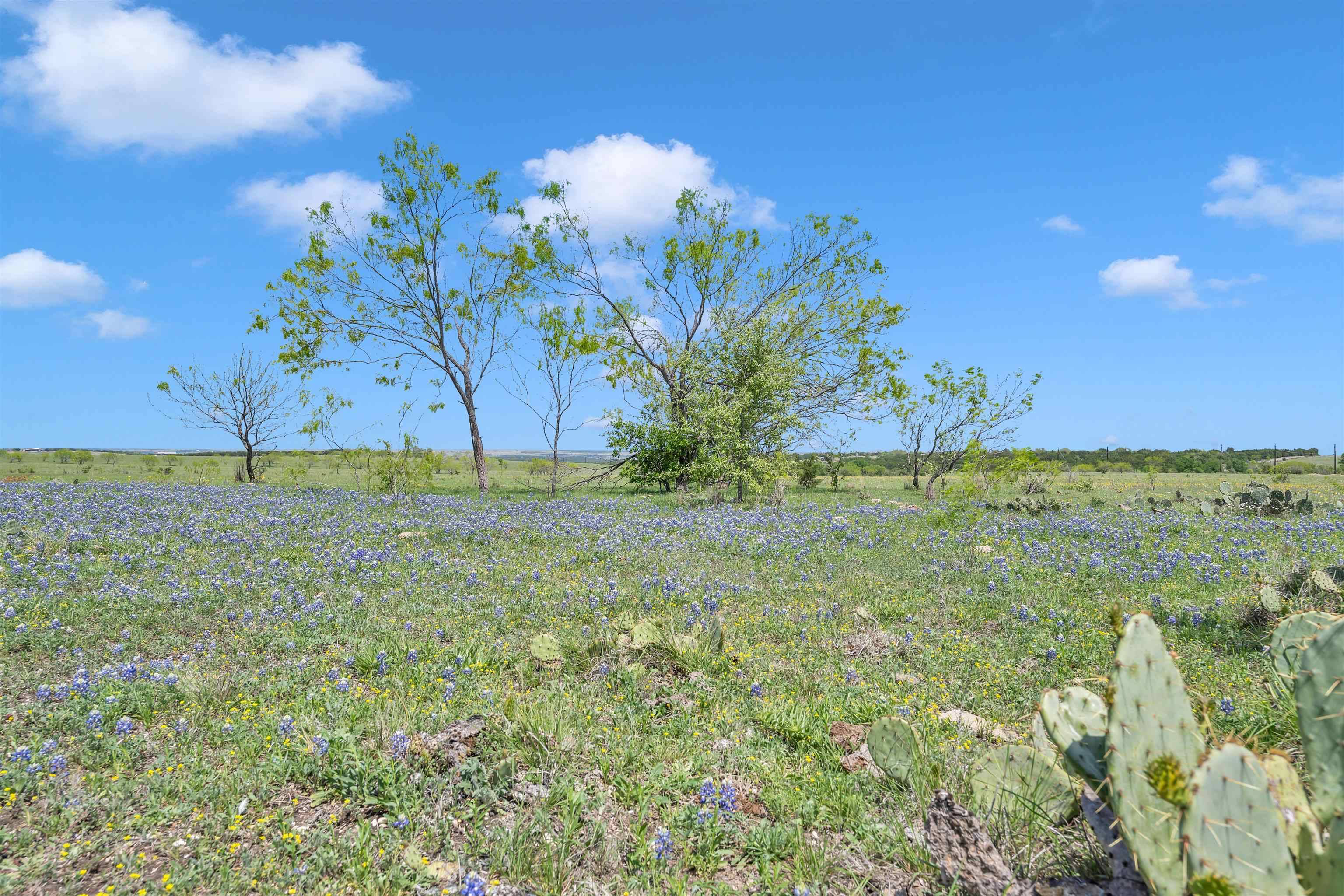 Tract 5 CR 207, Burnet, TX 78611