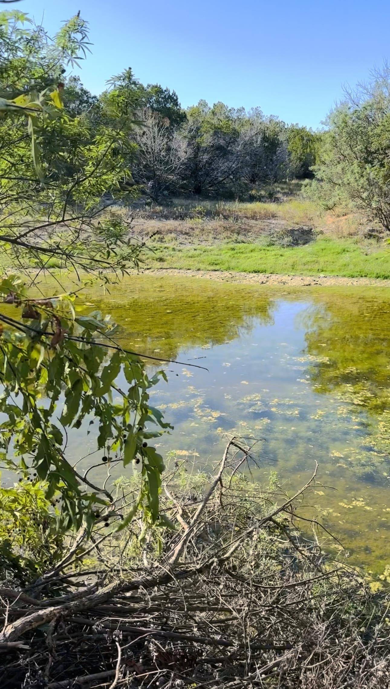 1220 E FM 243, Bertram, TX 78605