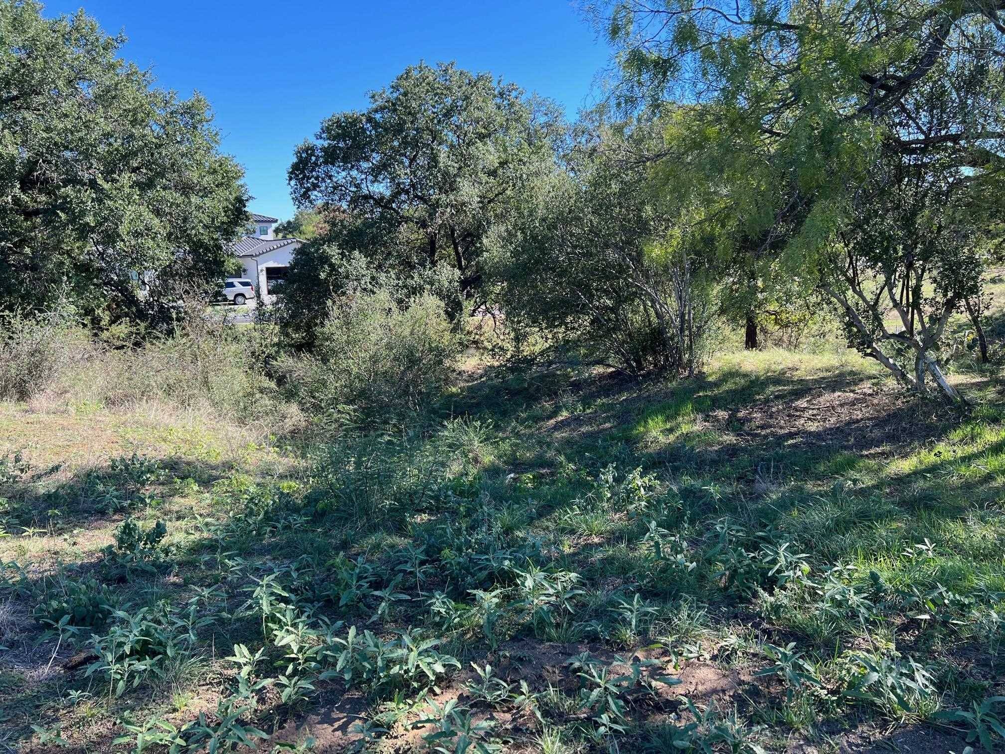 W21041 Nite Lite, Horseshoe Bay, TX 78657