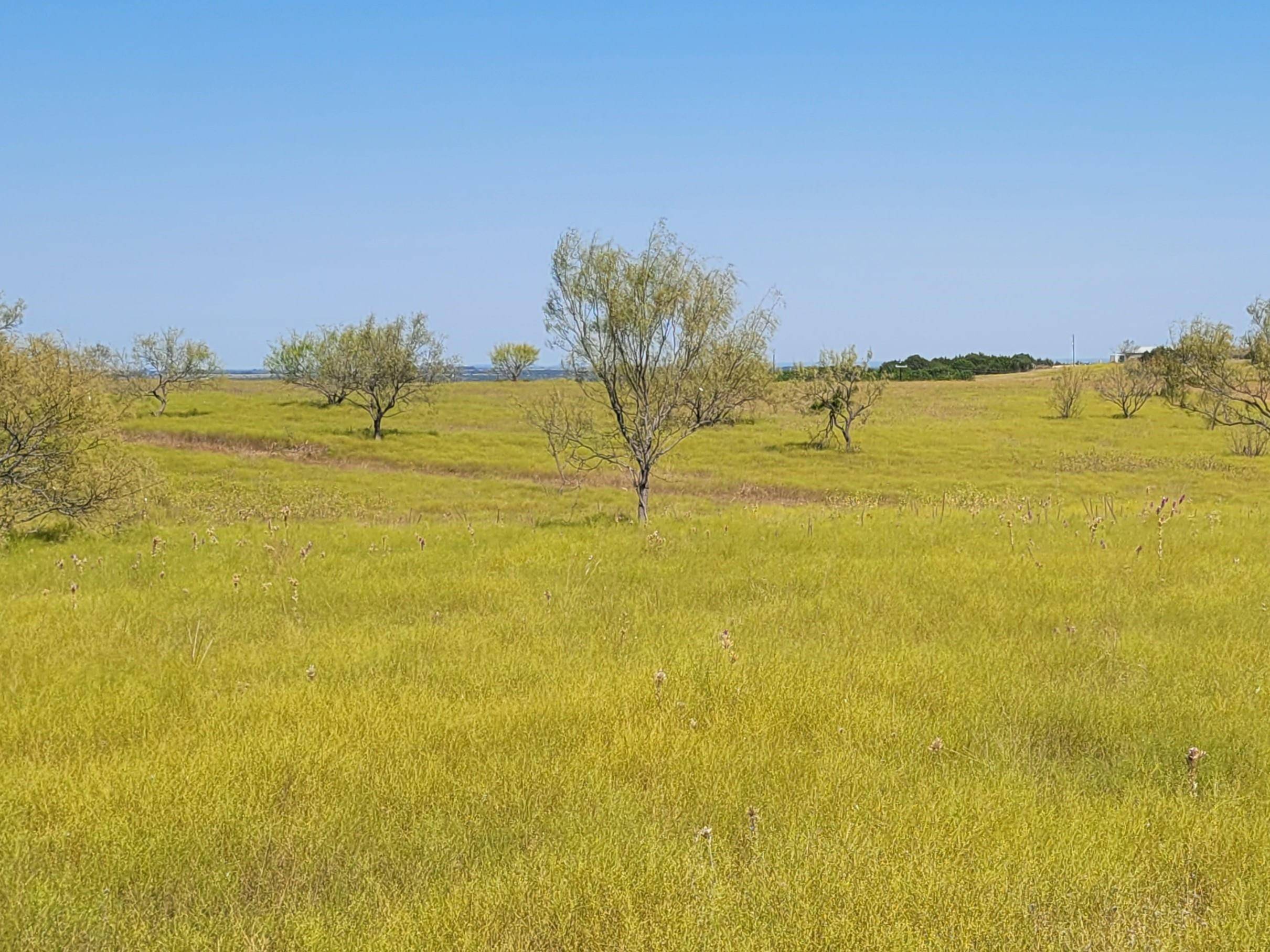 Tract 1 CR 207, Burnet, TX 78611