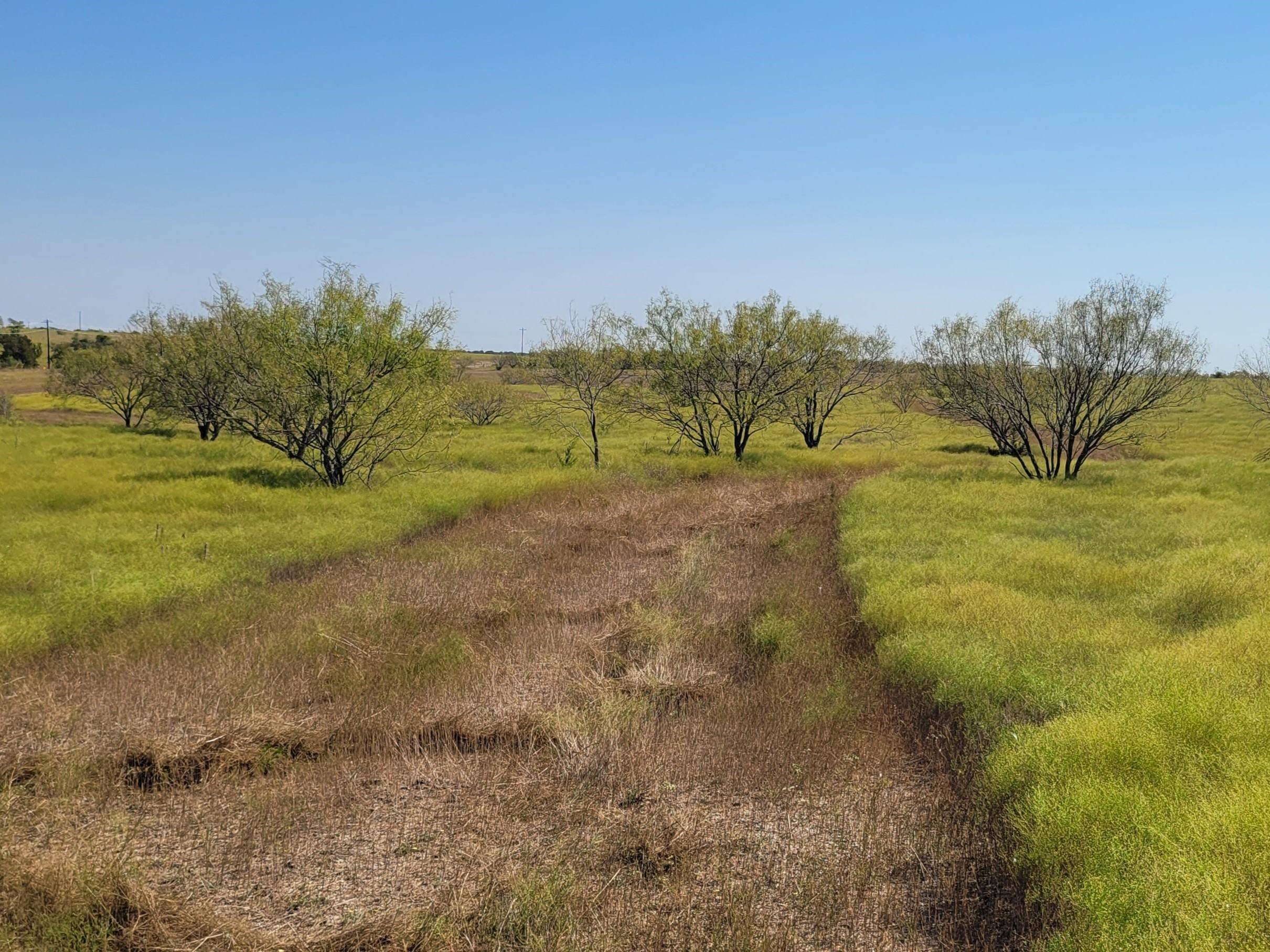 Tract 3 CR 207, Burnet, TX 78611