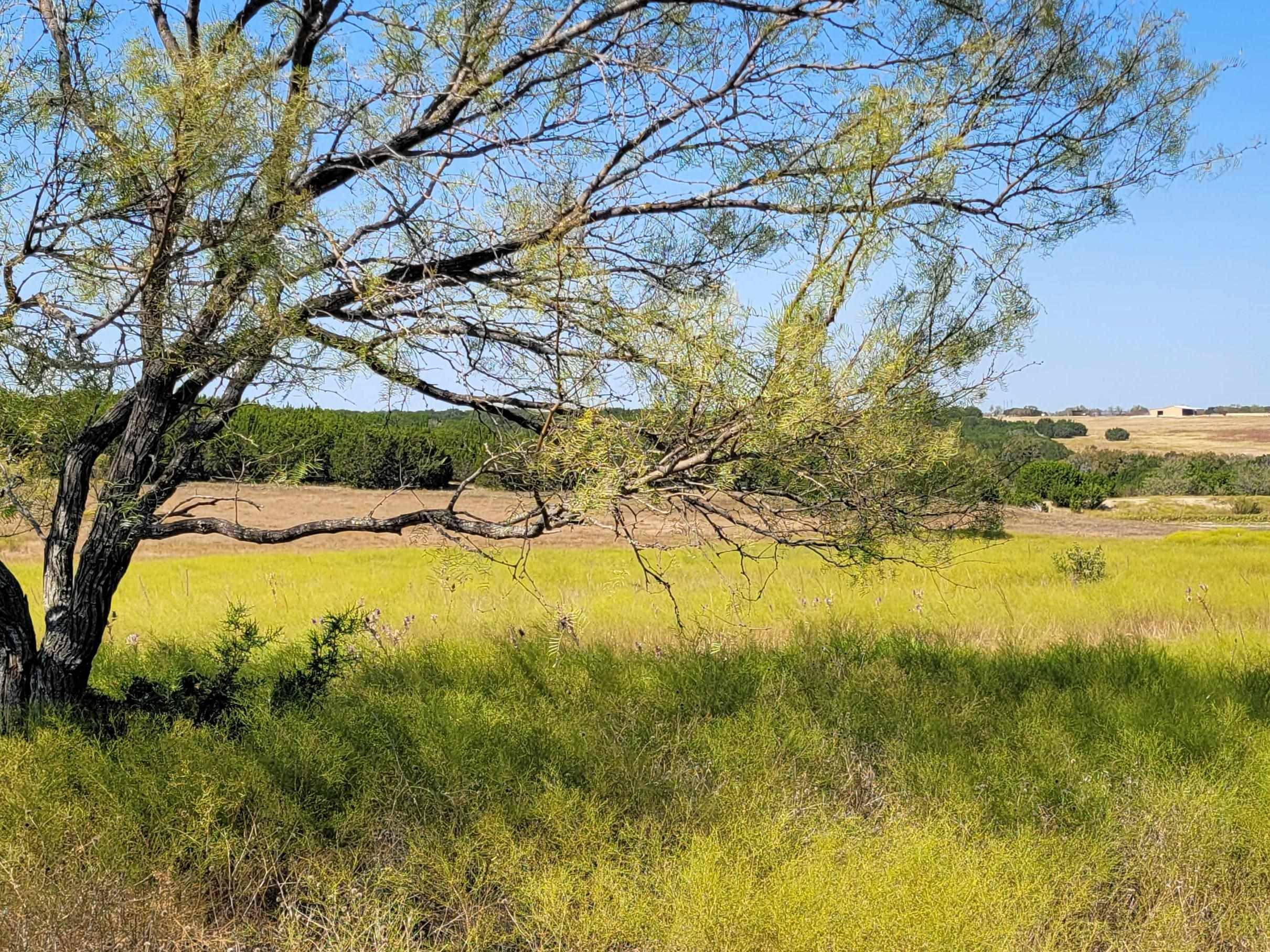 Tract 3 CR 207, Burnet, TX 78611