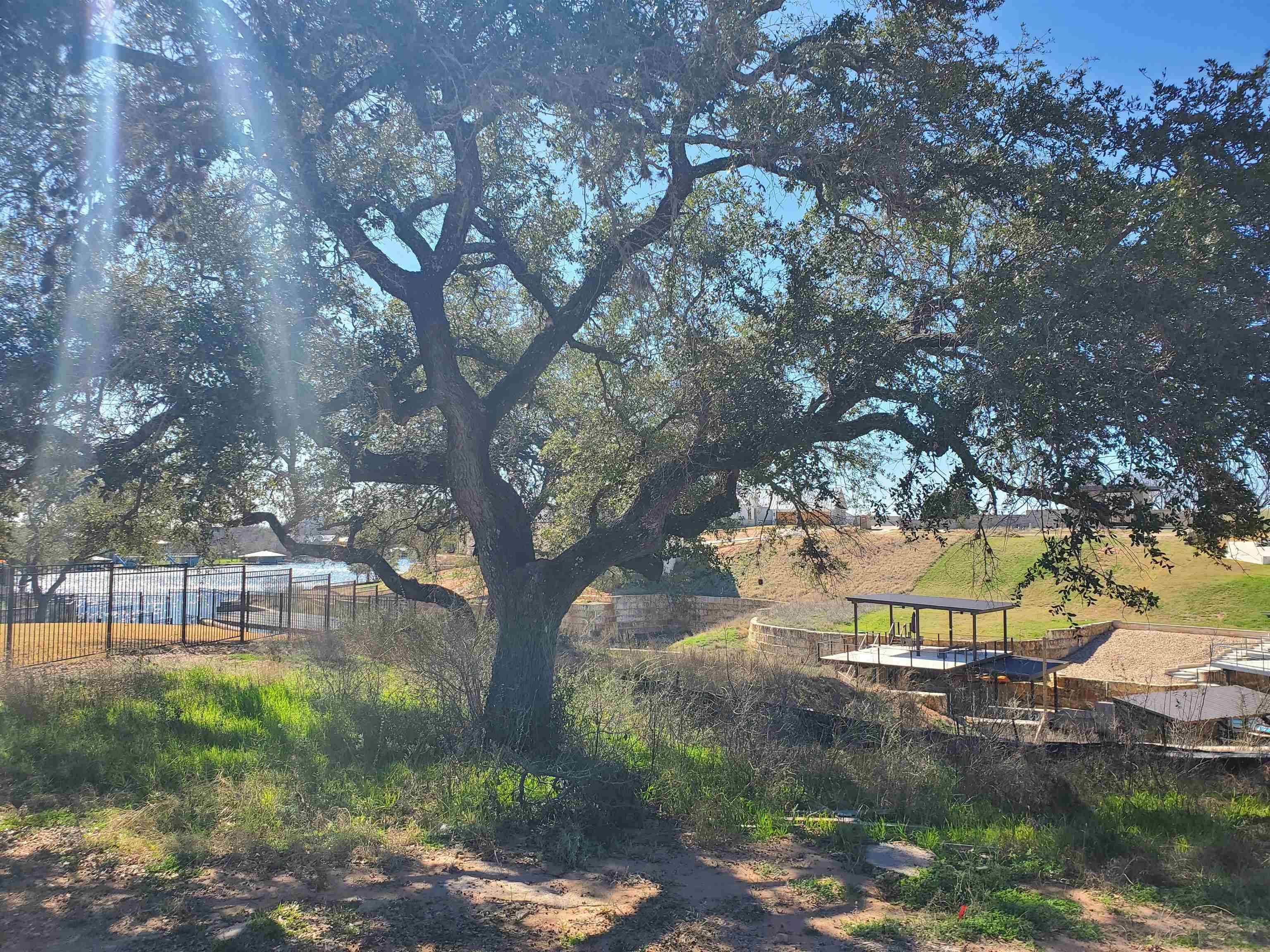 Lot 8 Legendary Estates Drive, Kingsland, TX 78639