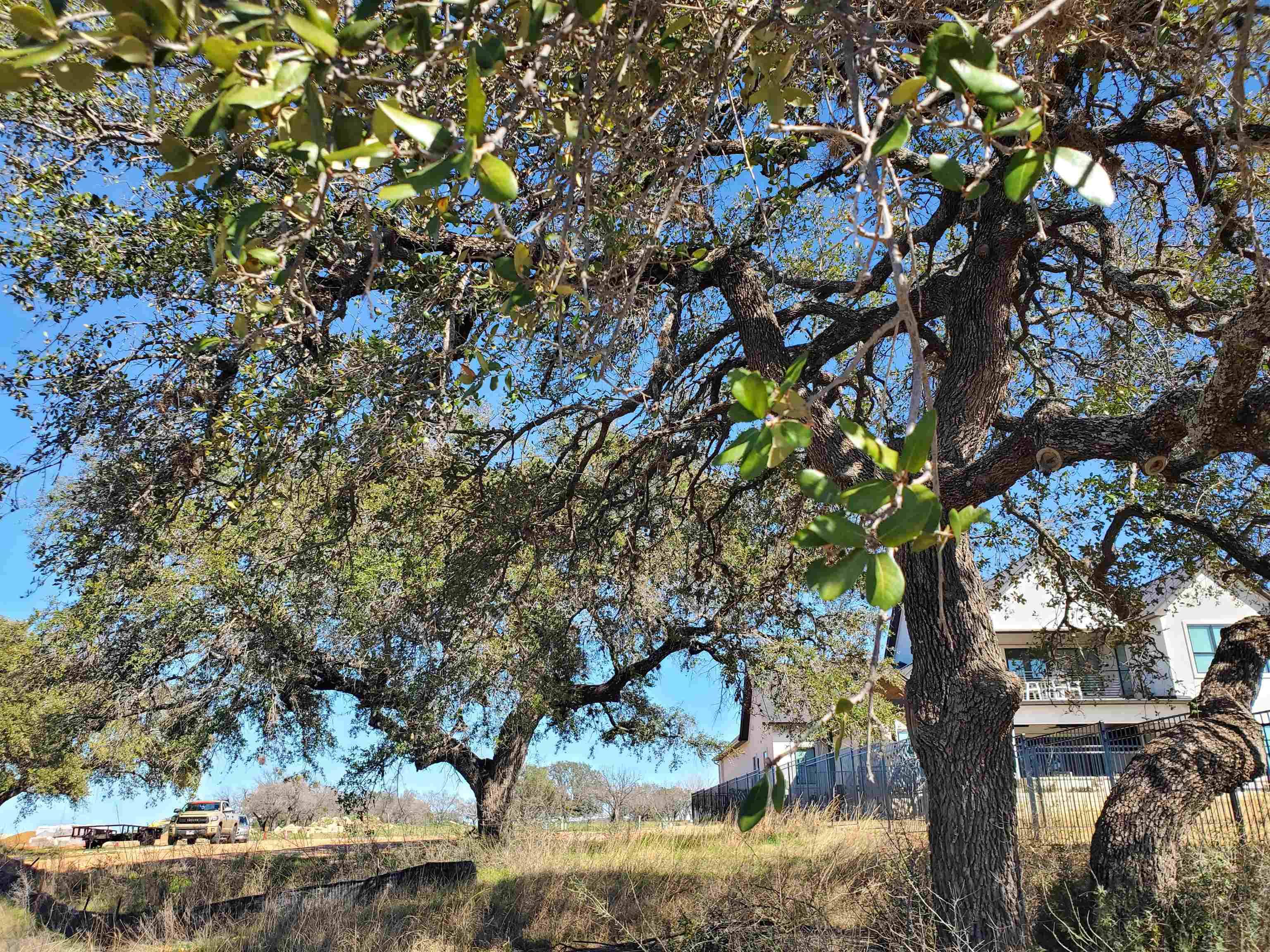 Lot 8 Legendary Estates Drive, Kingsland, TX 78639