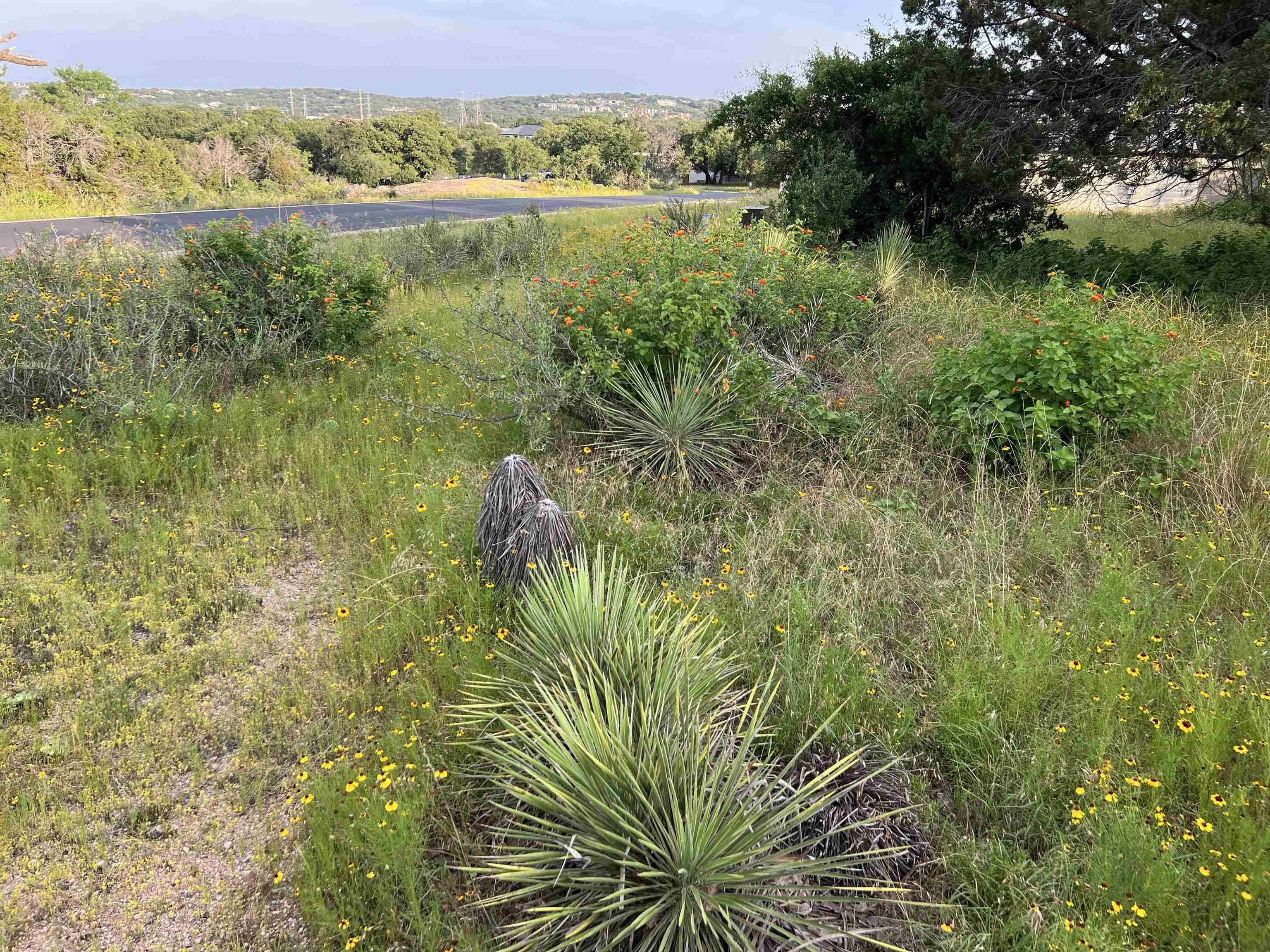 Lot 18047 Indian Paint, Horseshoe Bay, TX 78657