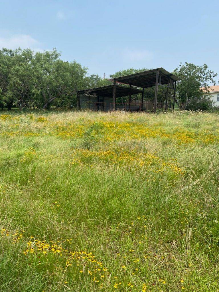 00 Odessa Ln., Tow, TX 78672