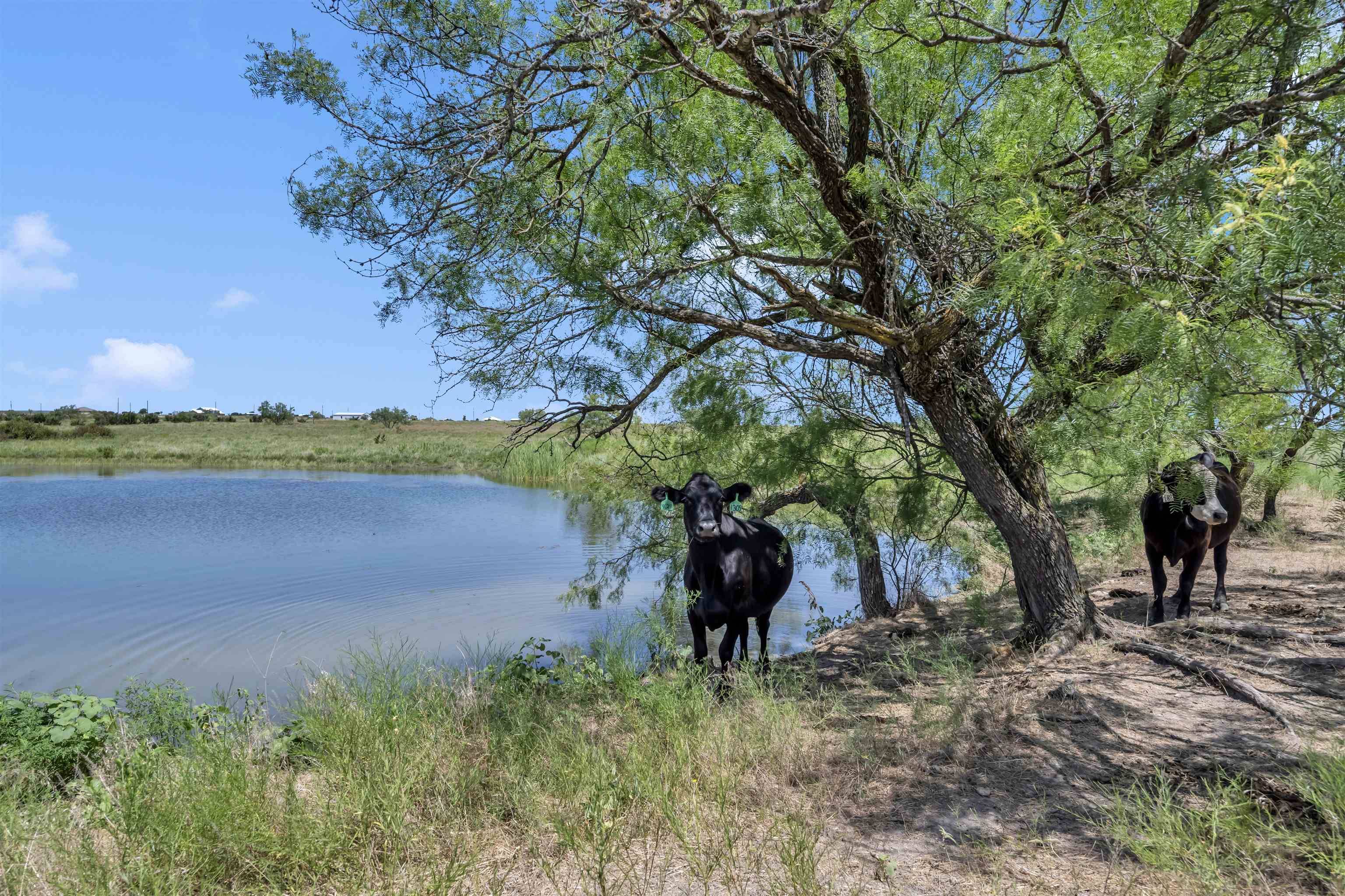 10600 CR 210, Bertram, TX 78605