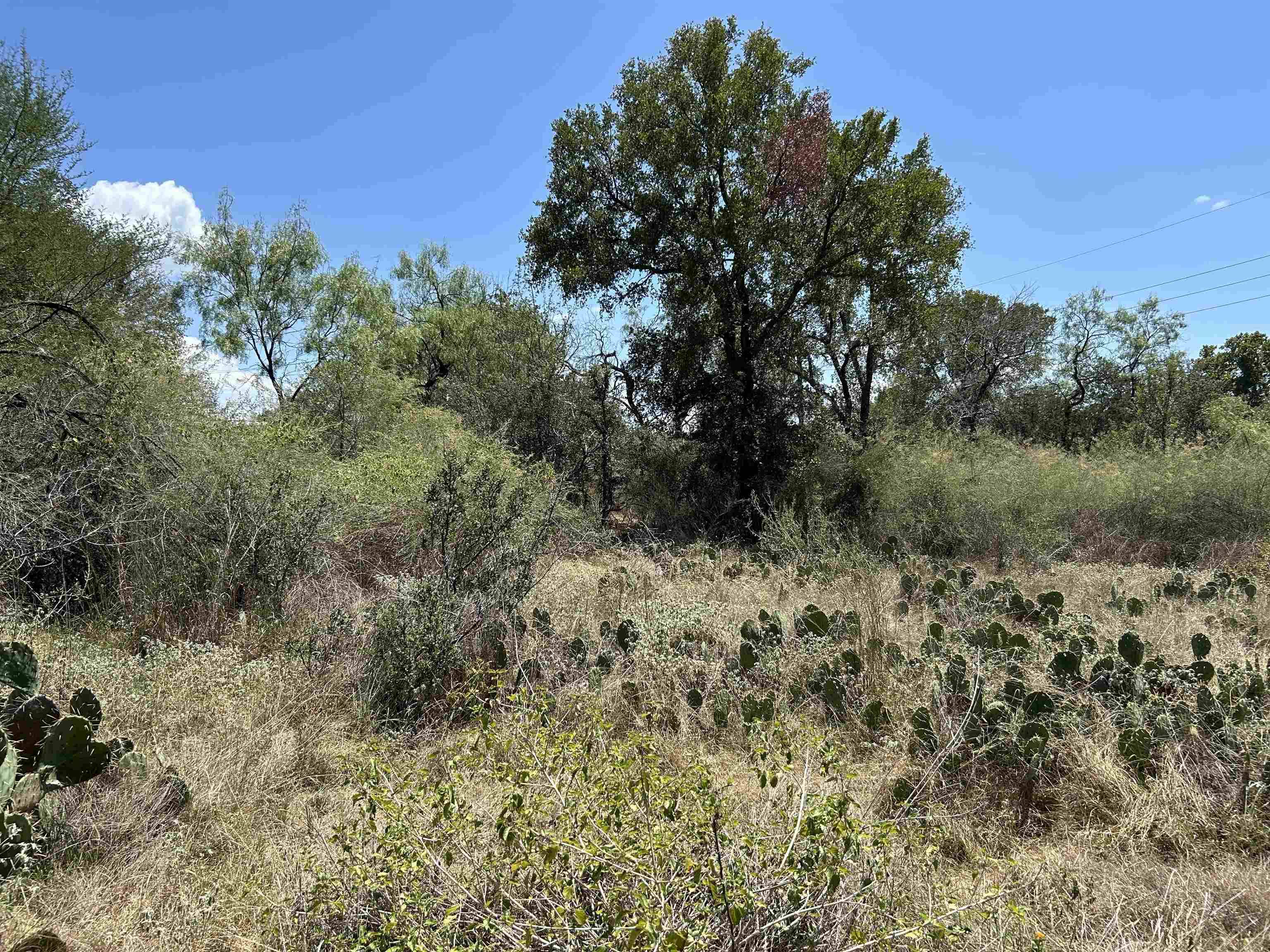 Air View Lot 534 BLVD, Sunrise Beach, TX 78643-11