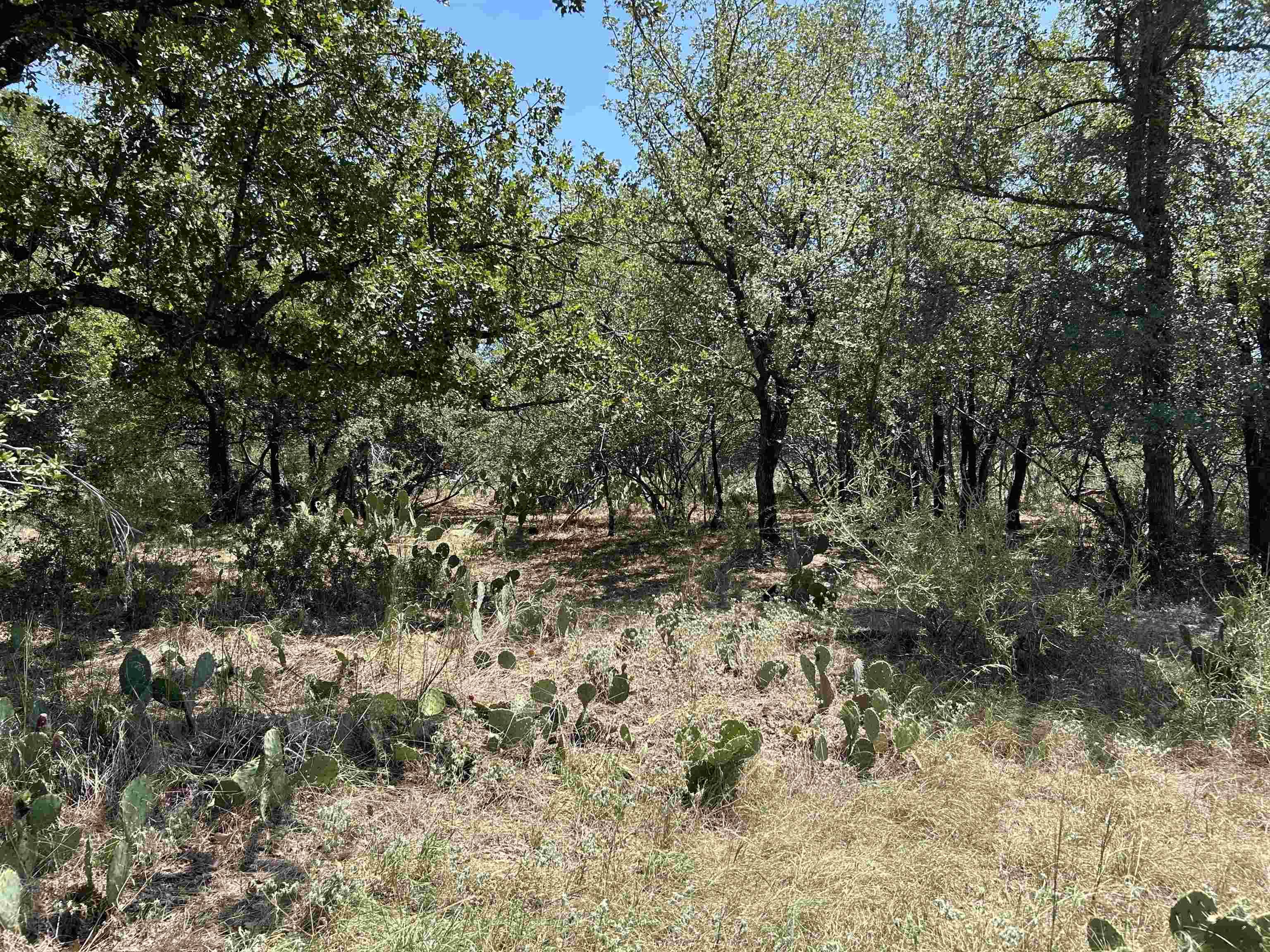 Air View Lot 534 BLVD, Sunrise Beach, TX 78643-11