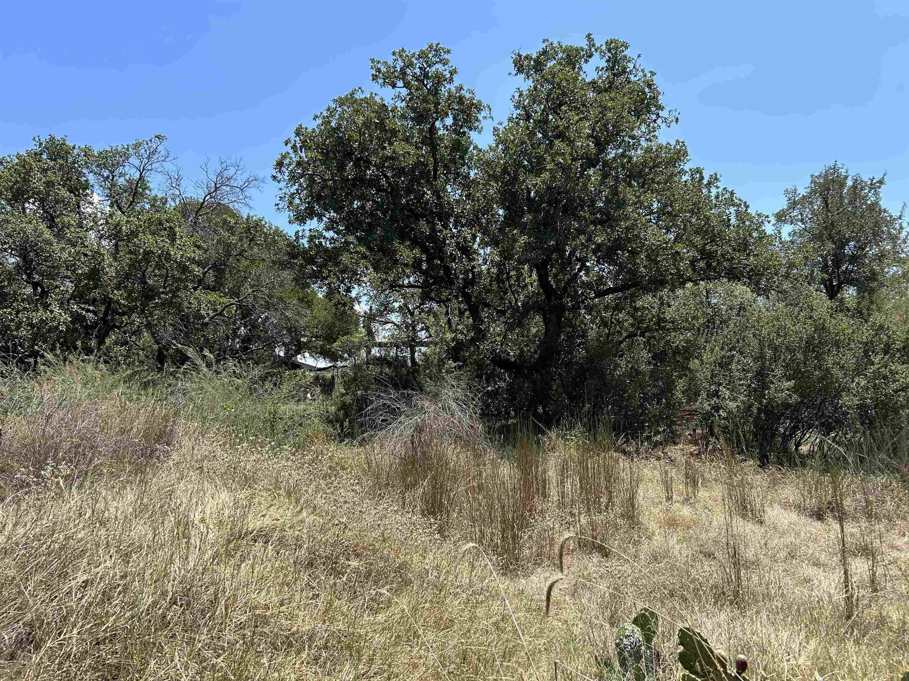 Air View Lot 534 BLVD, Sunrise Beach, TX 78643-11