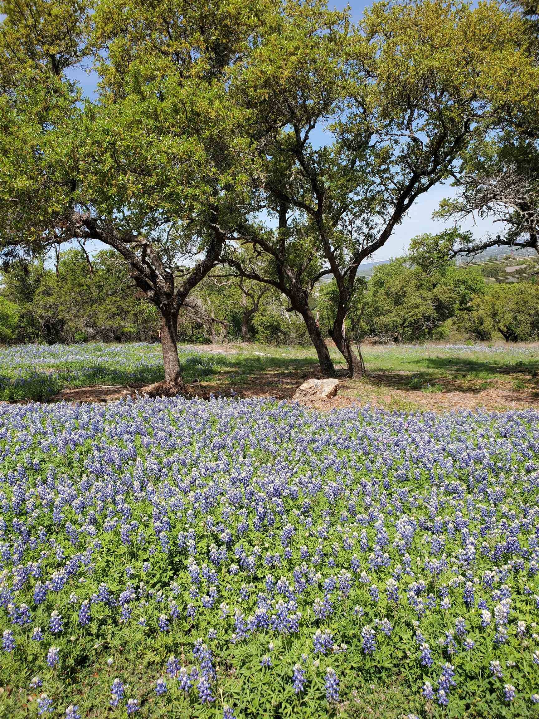 5401 Dew Drop ST, Horseshoe Bay, TX 78657